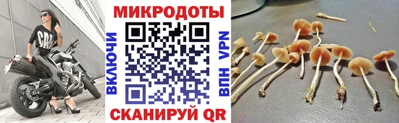 Галлюциногенные грибы Magic Shrooms  как найти закладки  Фокино 